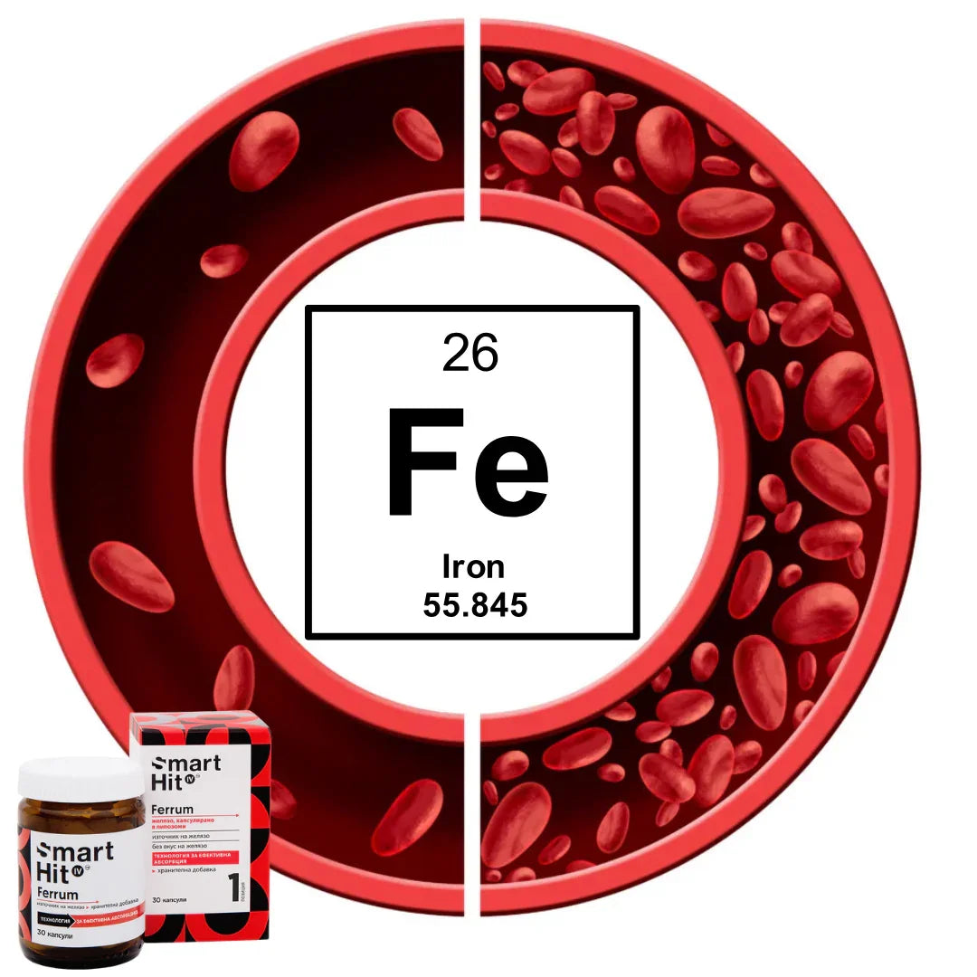 Прием на желязо и дефицит