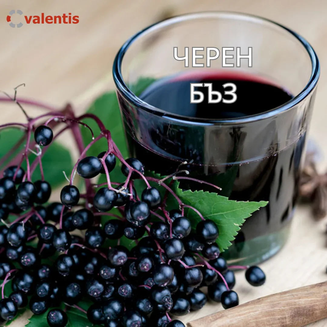 Черен бъз – ползи