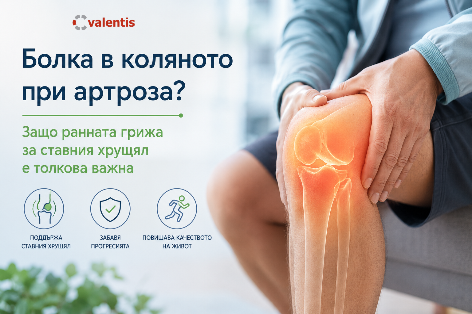 Болка в коляното при артроза? Защо ранната грижа за ставния хрущял е толкова важна